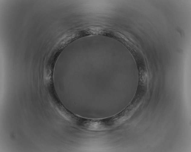 X0000112470507200908171201