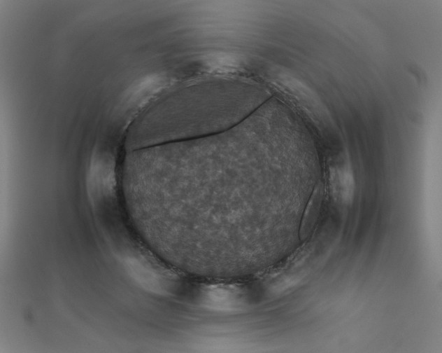 X0000112470508200908171201