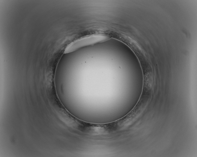 X0000112470509200908171201