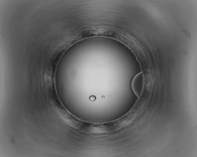 X0000112470510200908171201