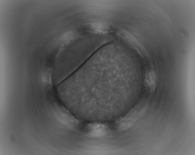 X0000112470512200908171201