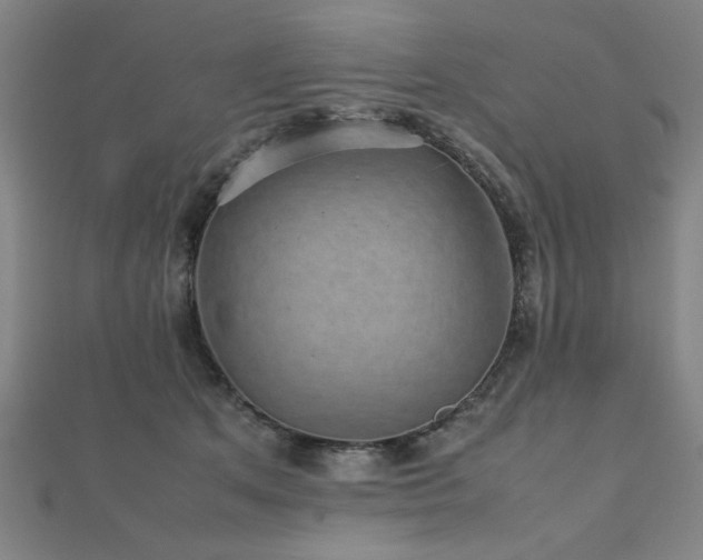 X0000112470513200908171201