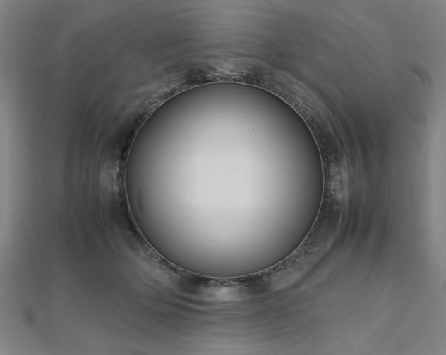 X0000112470514200908171201