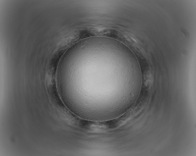 X0000112470515200908171201