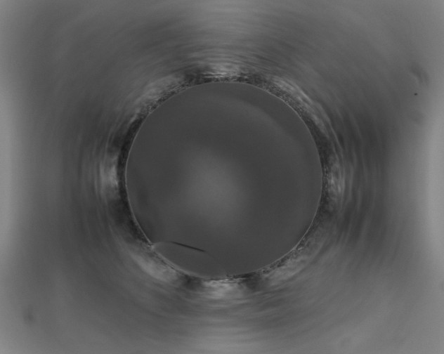 X0000112470516200908171201