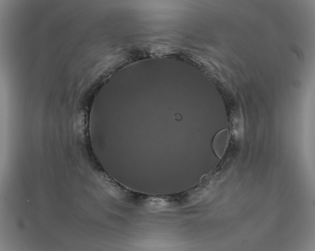 X0000112470519200908171201