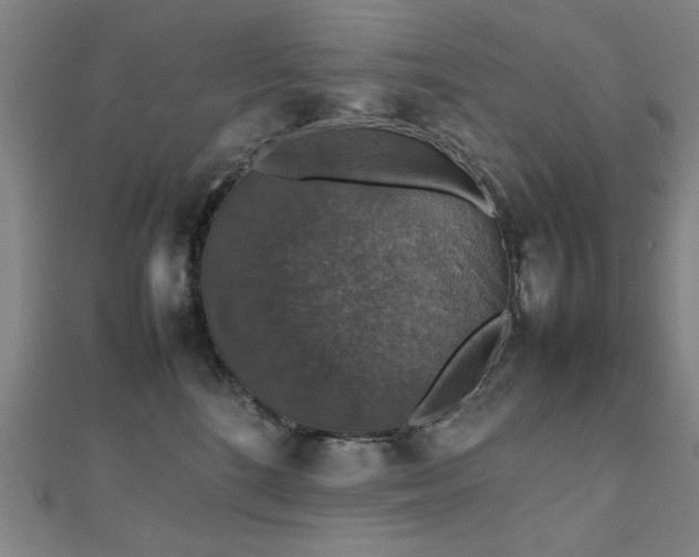 X0000112470520200908171201