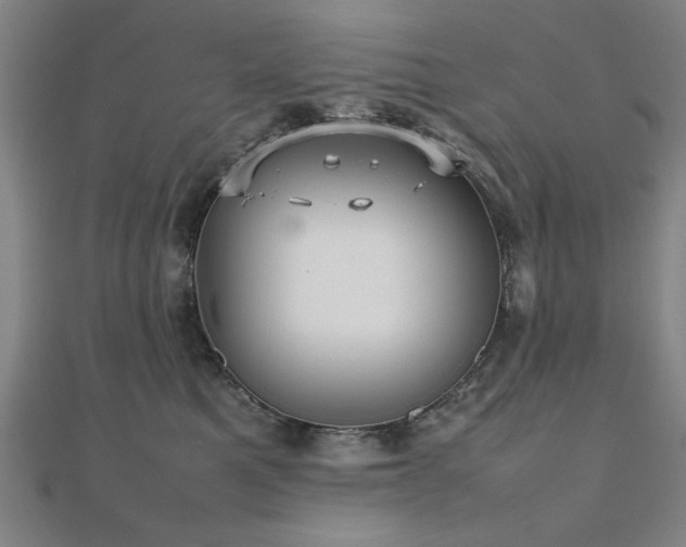 X0000112470521200908171201