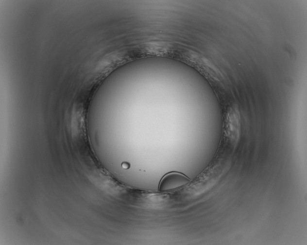 X0000112470522200908171201