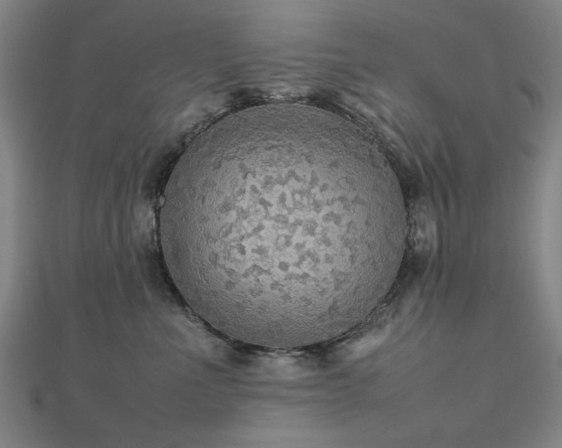 X0000112470523200908171201