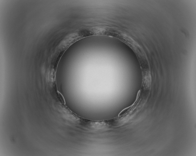 X0000112470525200908171201