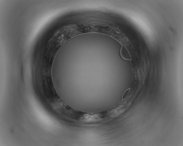 X0000112470526200908171201