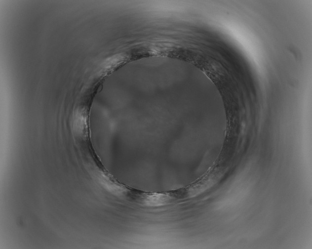 X0000112470527200908171201