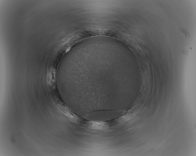 X0000112470528200908171201