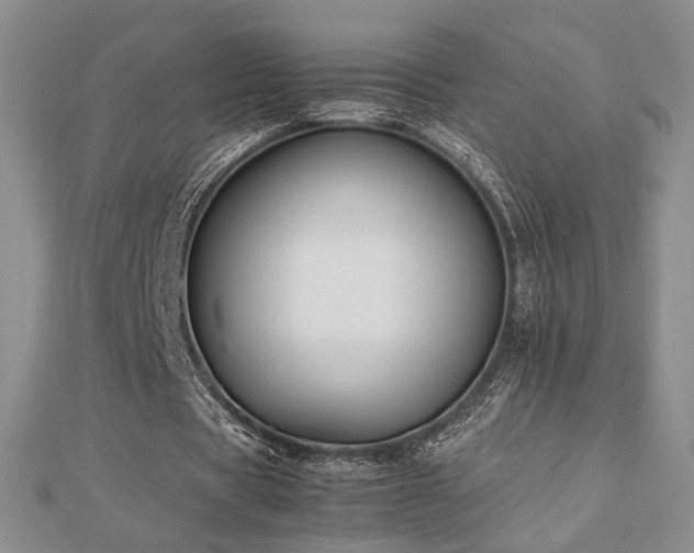 X0000112470529200908171200