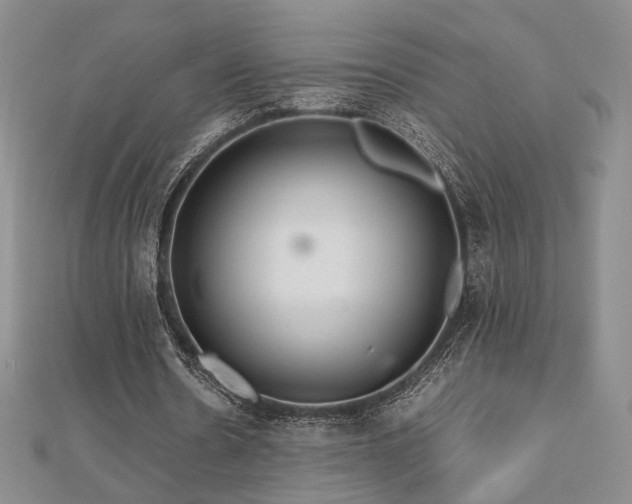 X0000112470530200908171200