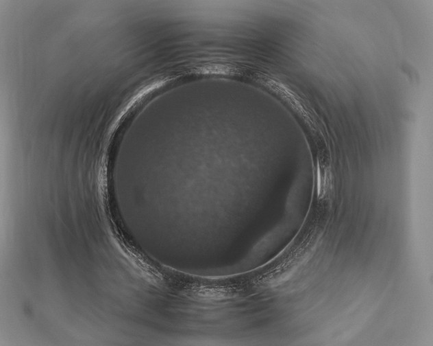 X0000112470531200908171200