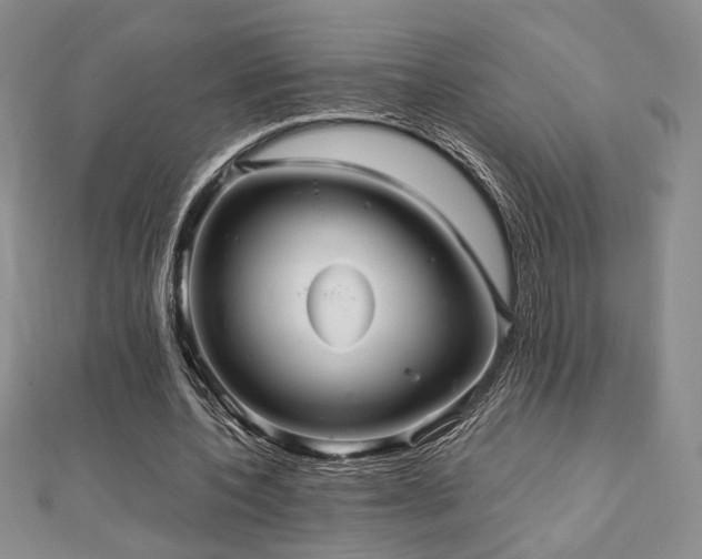 X0000112470532200908171200