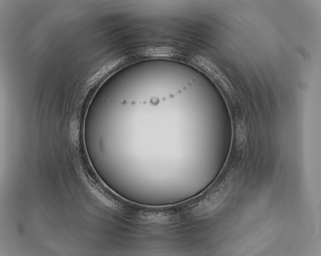 X0000112470533200908171200