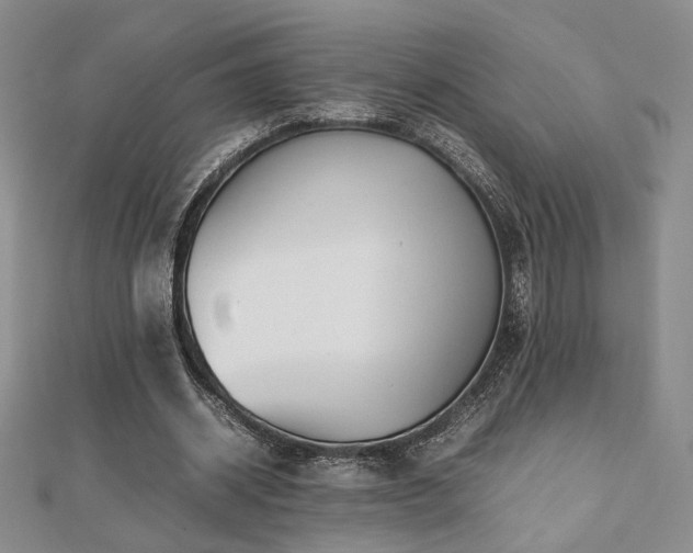 X0000112470534200908171200