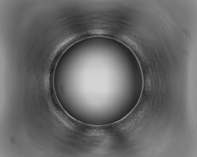 X0000112470535200908171200