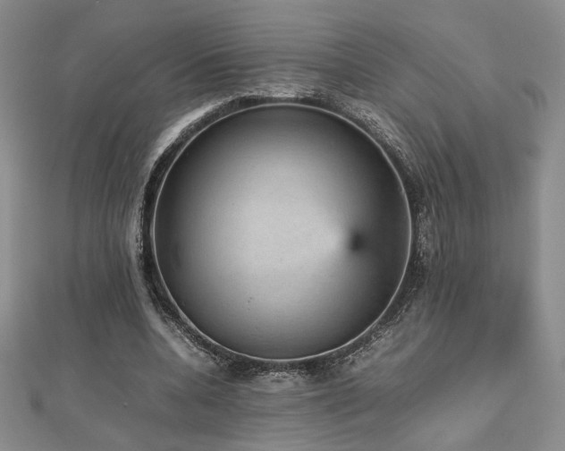 X0000112470536200908171200