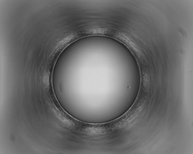 X0000112470537200908171200