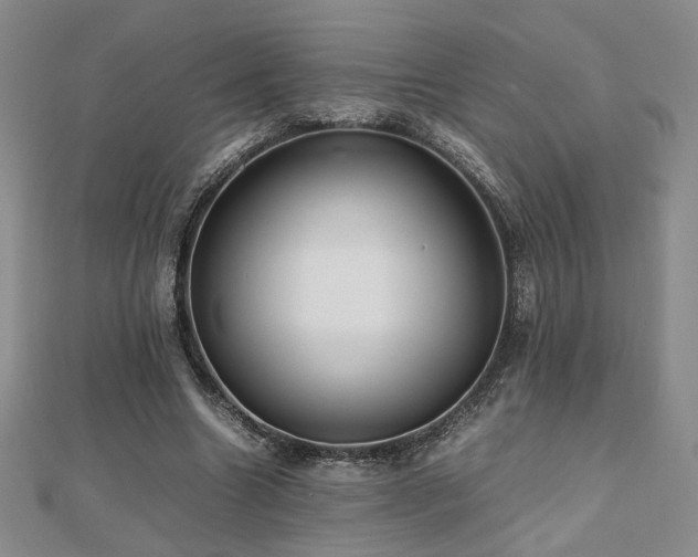 X0000112470538200908171200