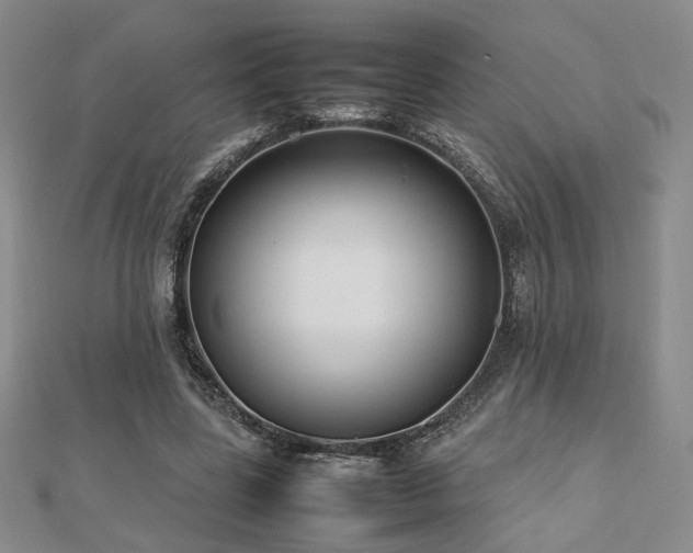 X0000112470539200908171200