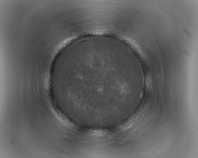 X0000112470540200908171200