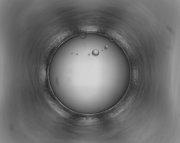 X0000112470541200908171200