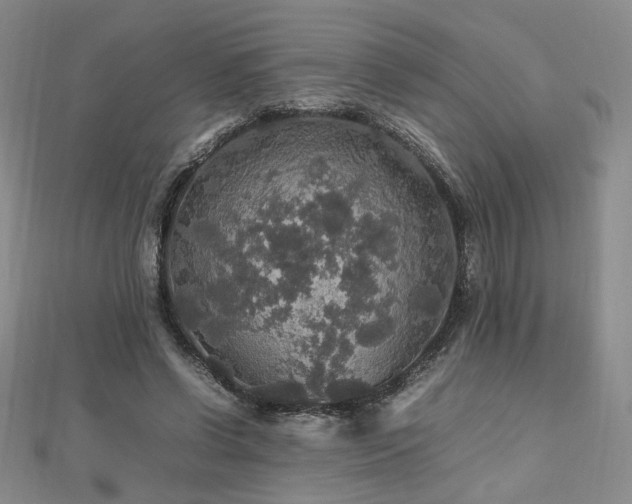 X0000112470542200908171200