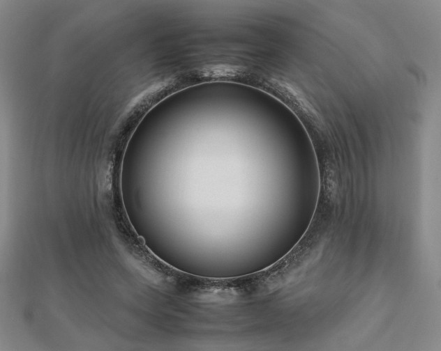 X0000112470543200908171200