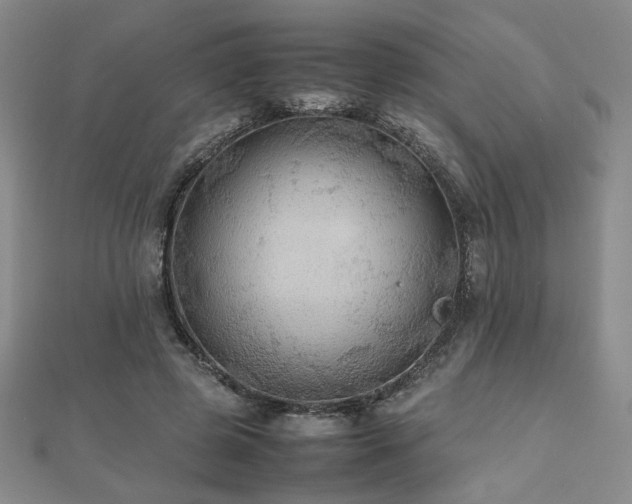 X0000112470545200908171200