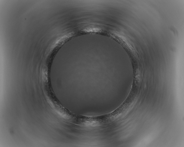 X0000112470547200908171200