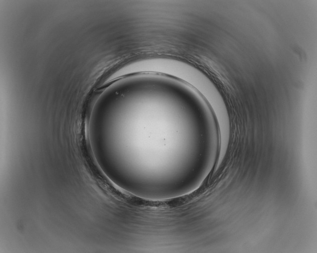 X0000112470548200908171200