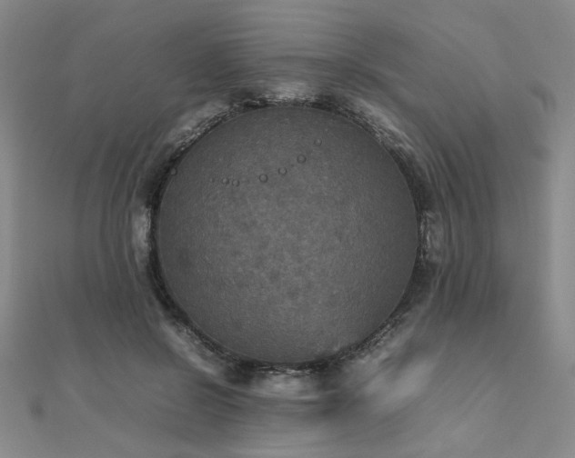 X0000112470550200908171200