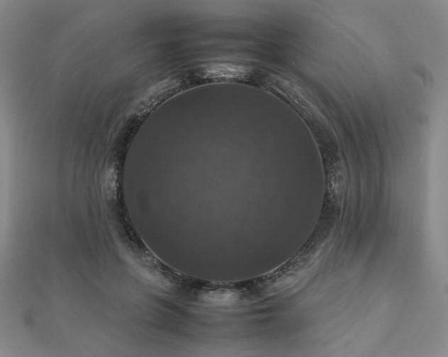 X0000112470551200908171200