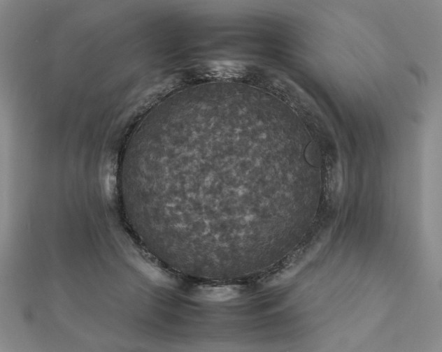 X0000112470553200908171200