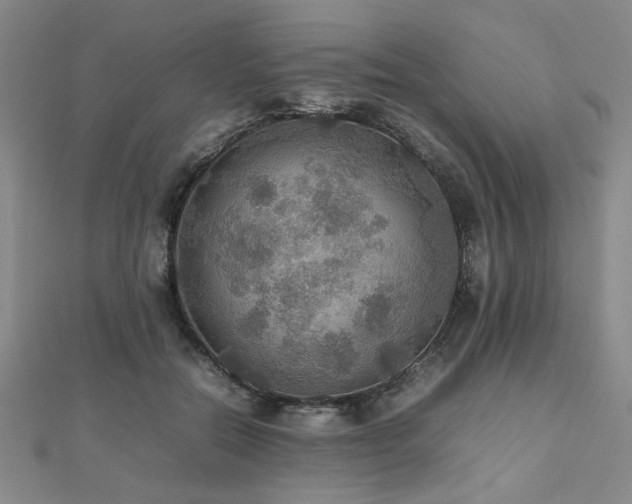 X0000112470554200908171200