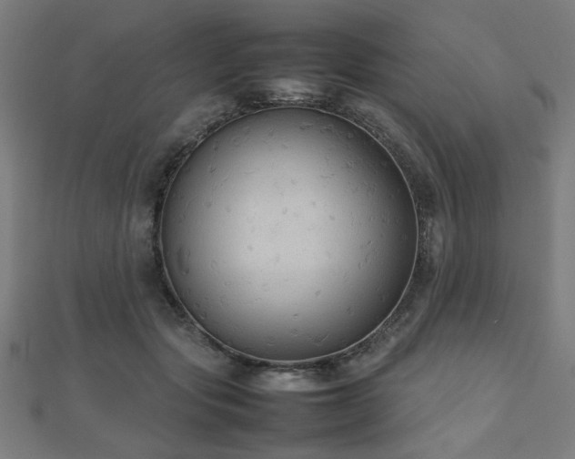 X0000112470557200908171200