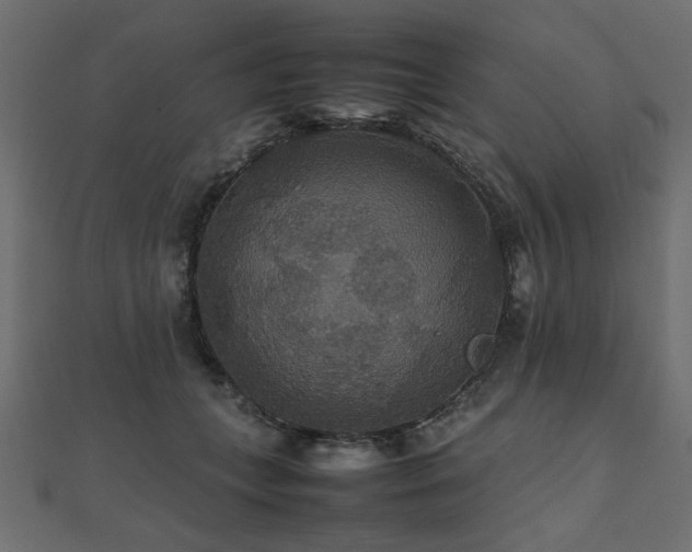 X0000112470559200908171200