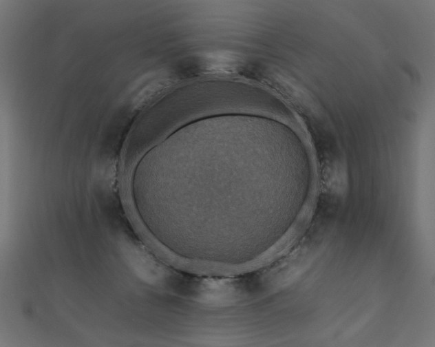 X0000112470560200908171200