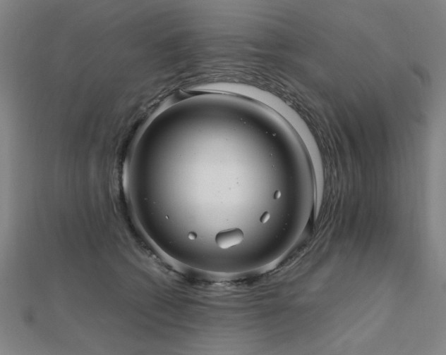 X0000112470562200908171201