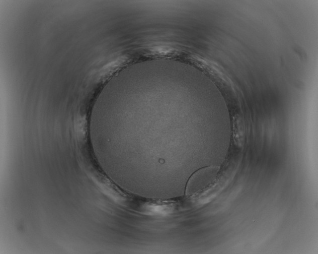 X0000112470563200908171201