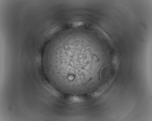 X0000112470565200908171201