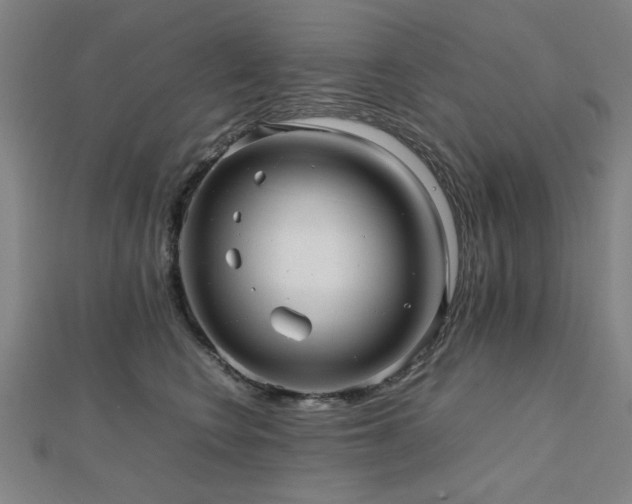 X0000112470566200908171201