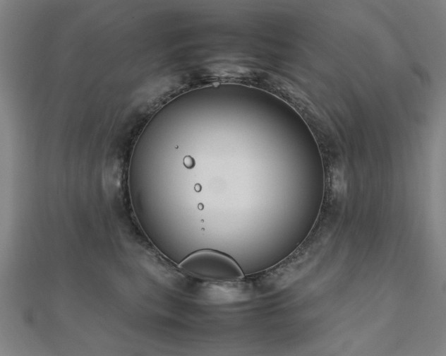 X0000112470567200908171201