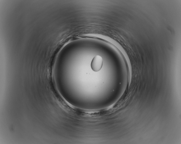 X0000112470568200908171201