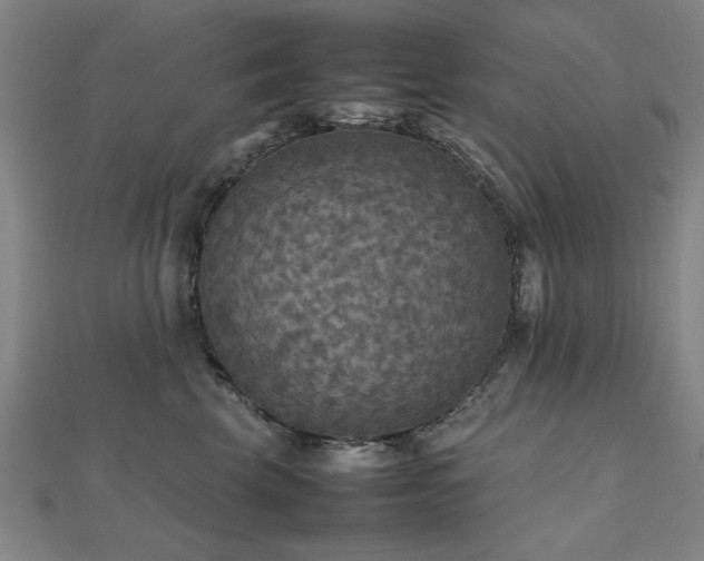 X0000112470569200908171201